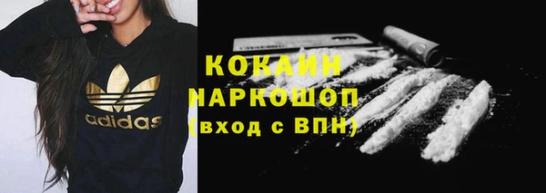 твердый Михайлов