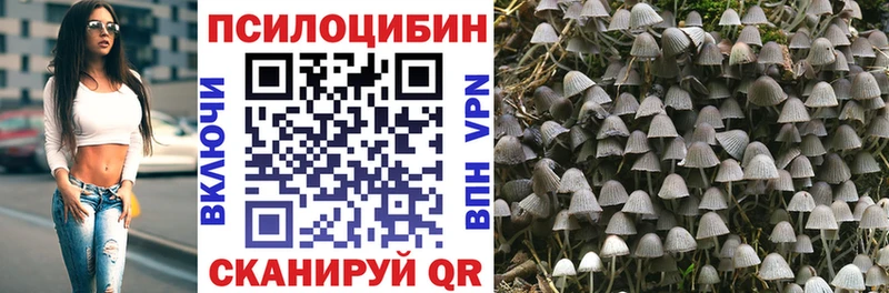наркошоп  Суздаль  Галлюциногенные грибы Magic Shrooms 