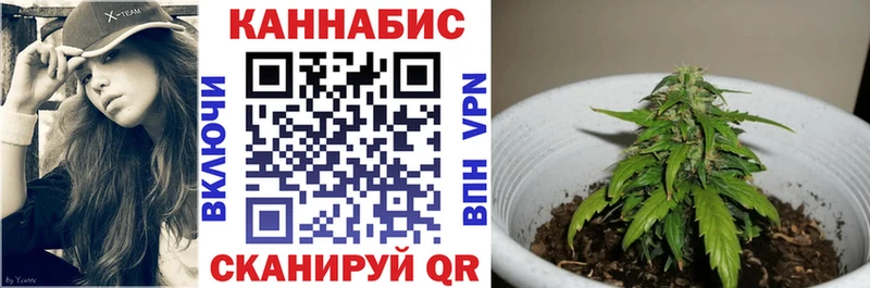 МАРИХУАНА MAZAR  купить  сайты  Суздаль 
